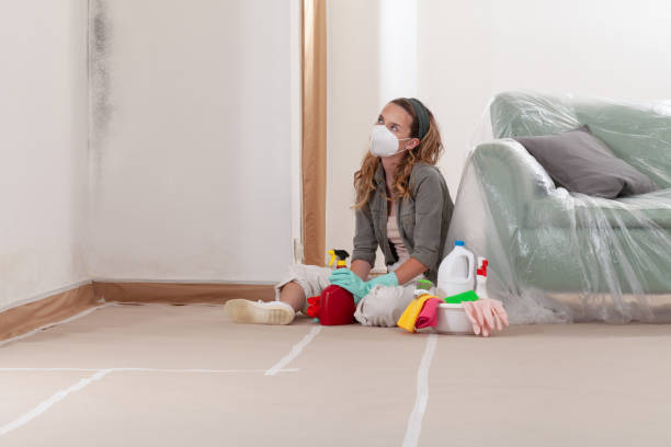 Reliable Mold Testing contractor in Scotland, MD by WQB Mold Removal
