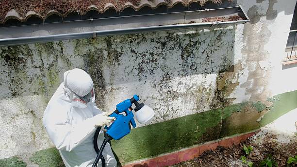 Top rated local Mold Testing specialists in Scotland, MD